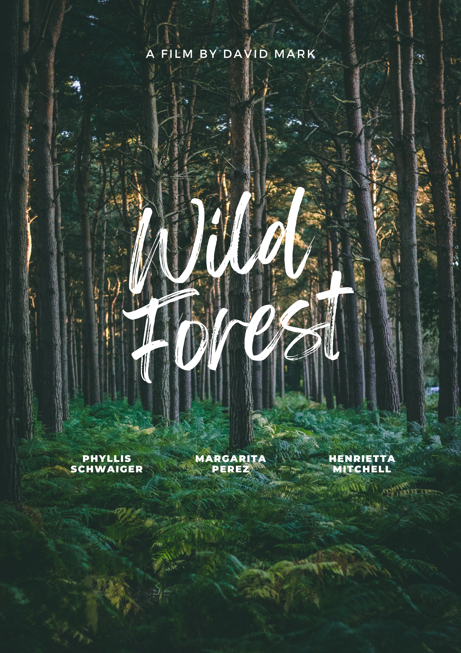 salto iptv wild forest